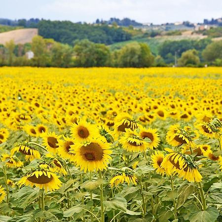 Agriturismo Tre Madonne Monteriggioni Zewnętrze zdjęcie