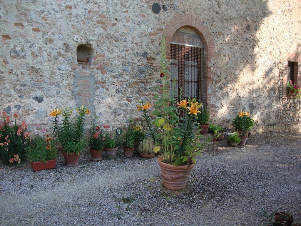 Agriturismo Tre Madonne Monteriggioni Pokój zdjęcie