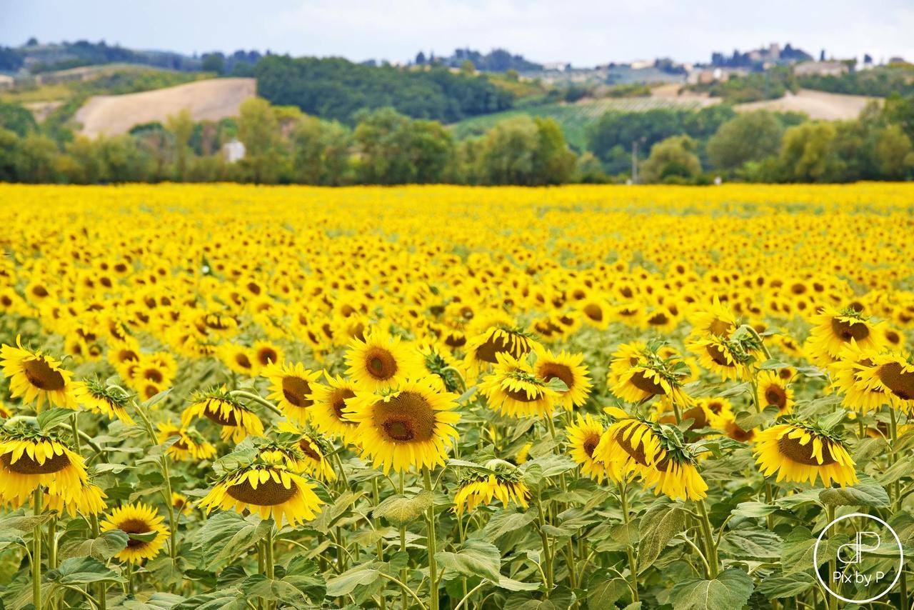 Agriturismo Tre Madonne Monteriggioni Zewnętrze zdjęcie